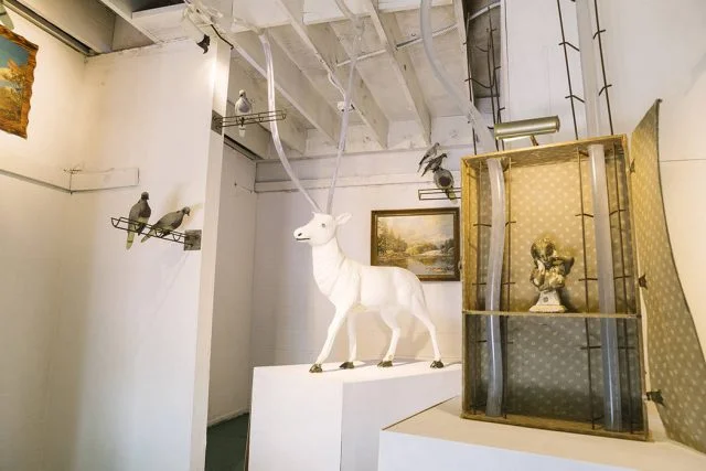 Art Motel Meow Wolf Life is Beautiful
