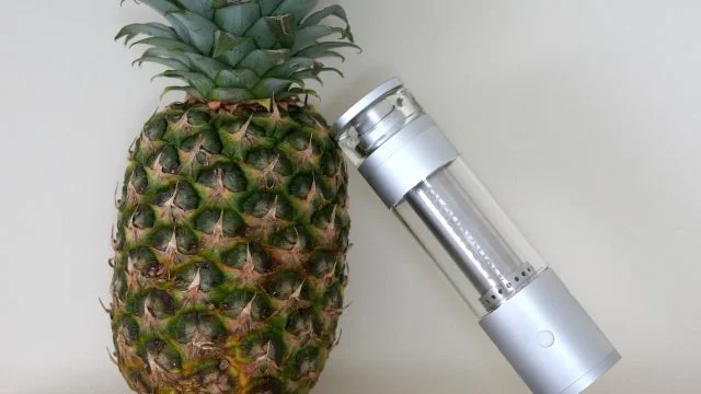 Hydrology 9 Vaporizer