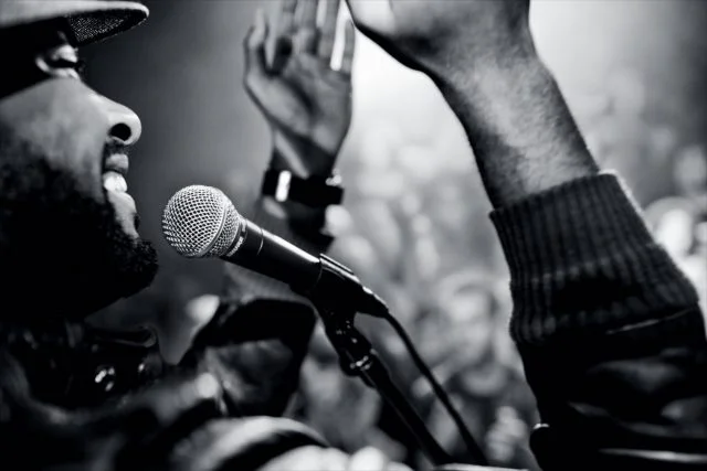 Shure Mic