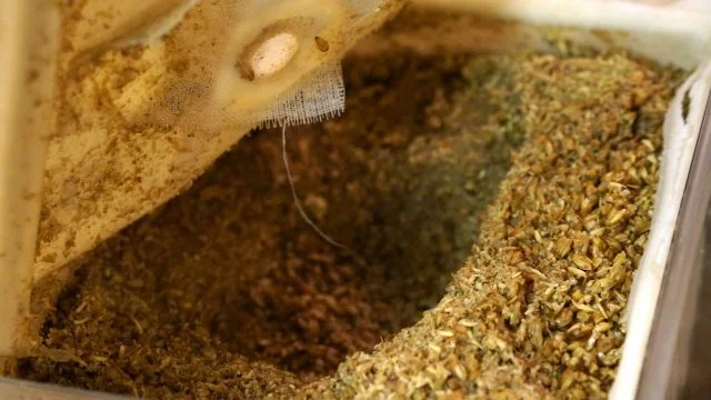 PicoPak Grain