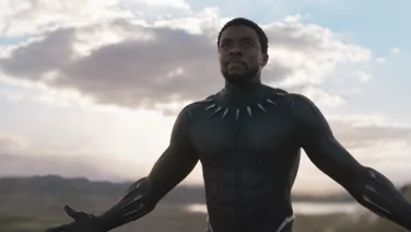 diversity black panther