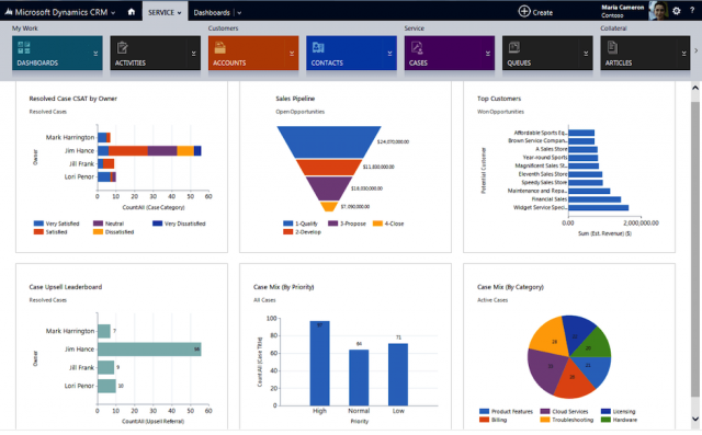 Microsoft Dynamics CRM Customer Service