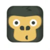 Gorilla Desk Logo