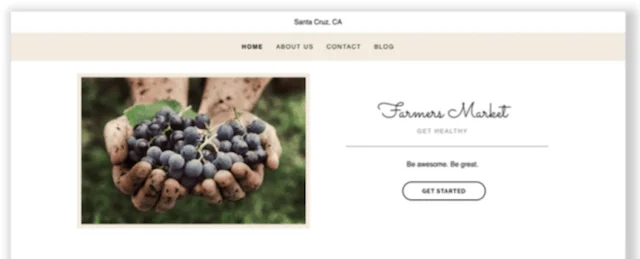 GoDaddy Organic Theme