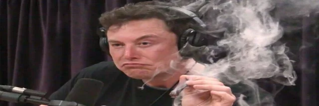 Elon Musk Joe Rogan Experience weed