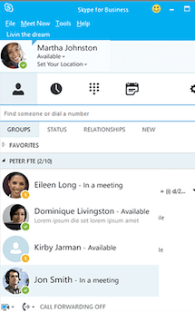 Skype for Business Profile