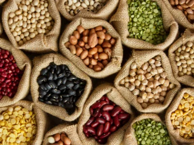 Dried Beans