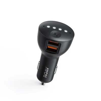 Google Assistant Roav Bolt