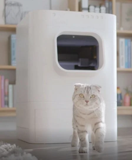 Smart cat toilet