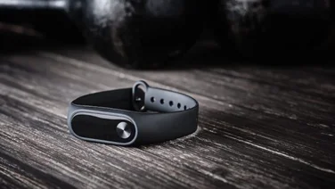 Fitbit Google Purchase