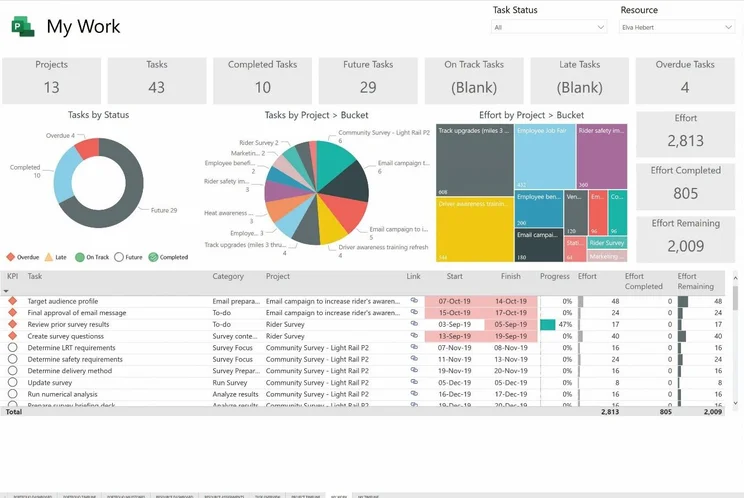 Microsoft Project Dashboard