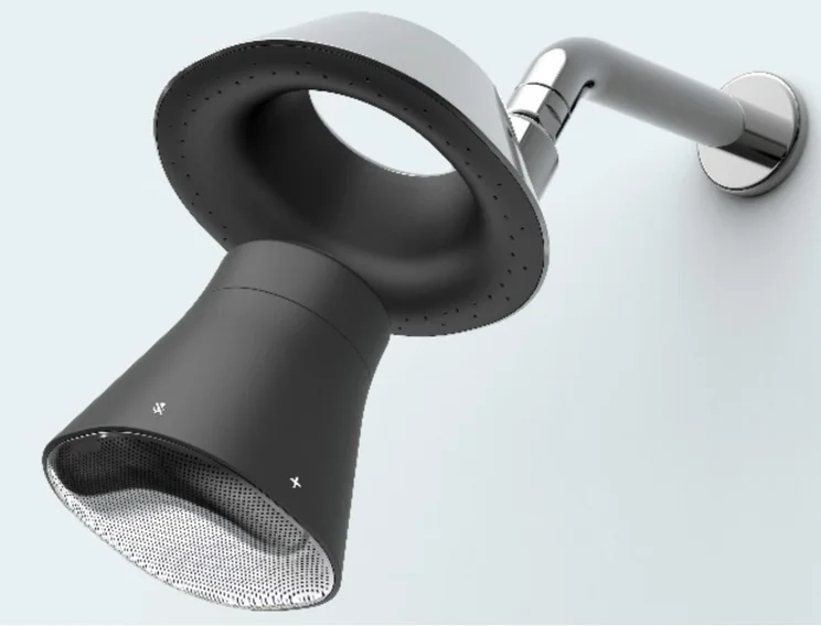 kohler shower head