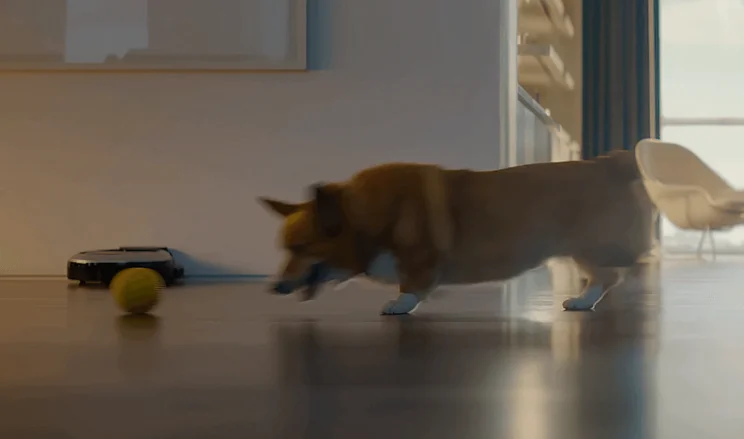 ballie chased by dog video screenshot