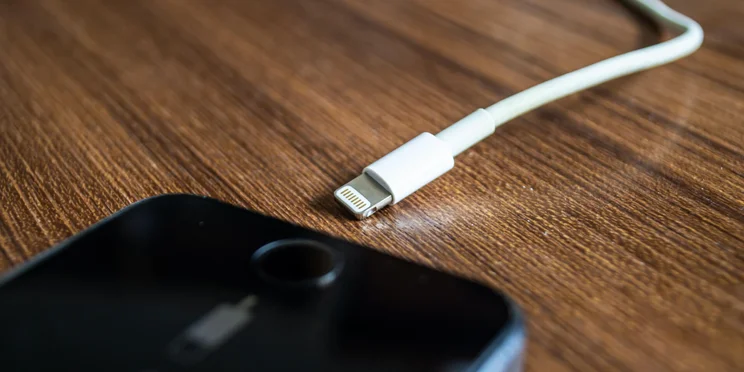 Apple Lightning Port Cable