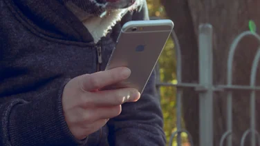 France fined Apple