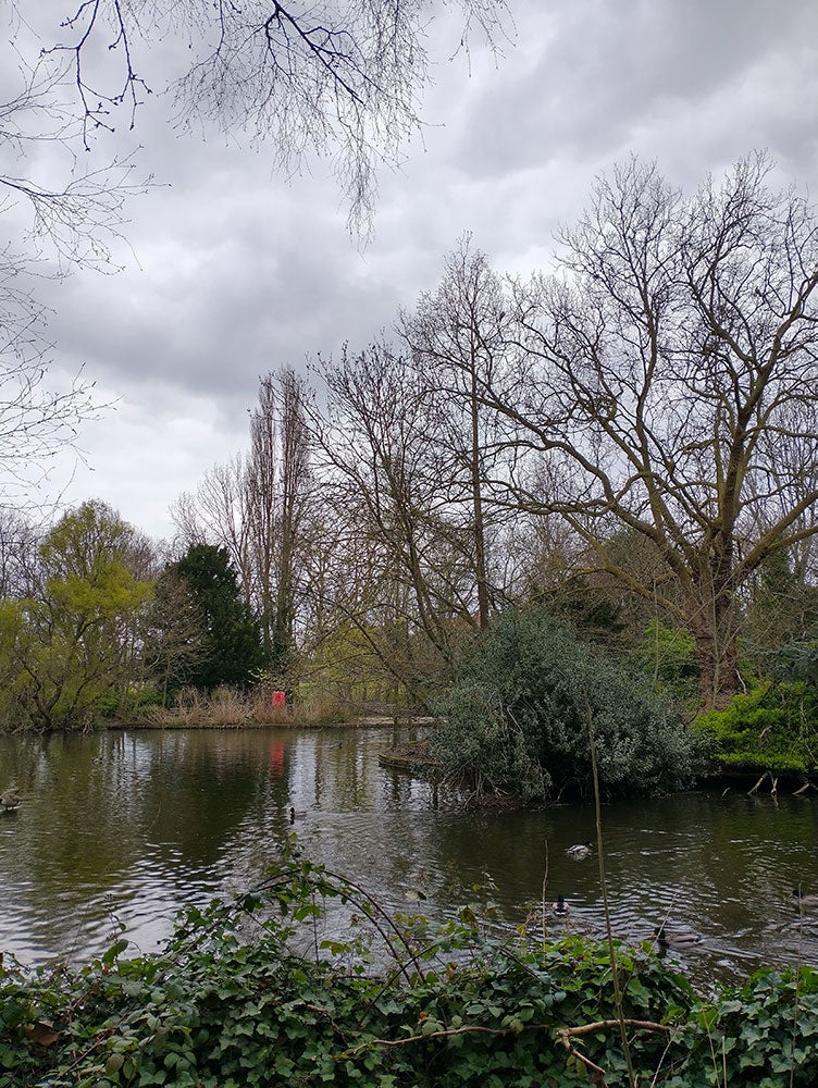 pond surrounded by trees taken on Moto G Power