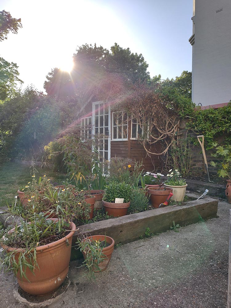 garden shed with plants