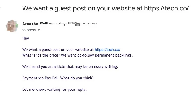 essay writing guest post