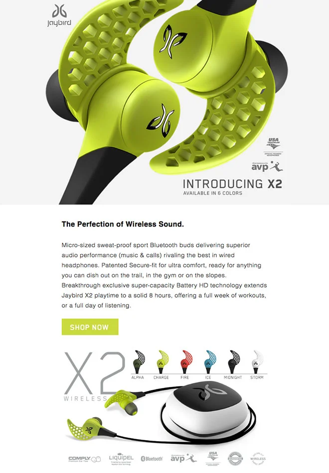 Jaybird Email Marketing Example