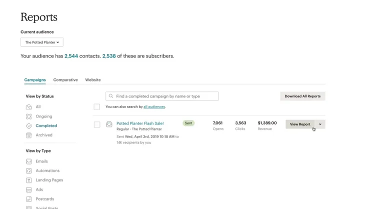Mailchimp Reports