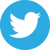 Twitter Logo
