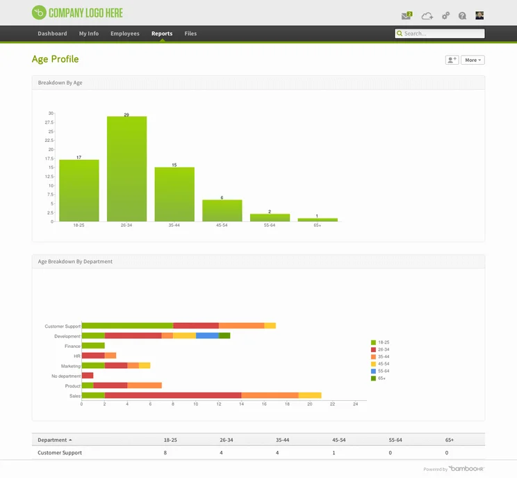 BambooHR Reports
