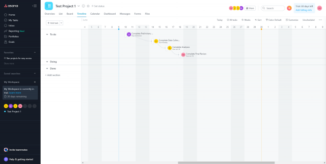 Asana test project