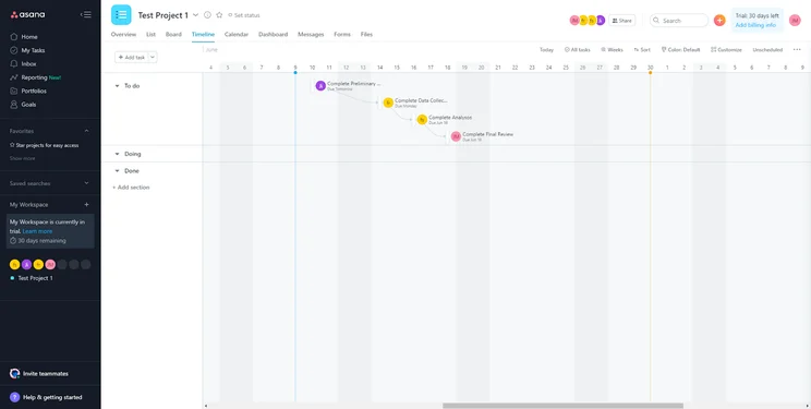 Asana test project