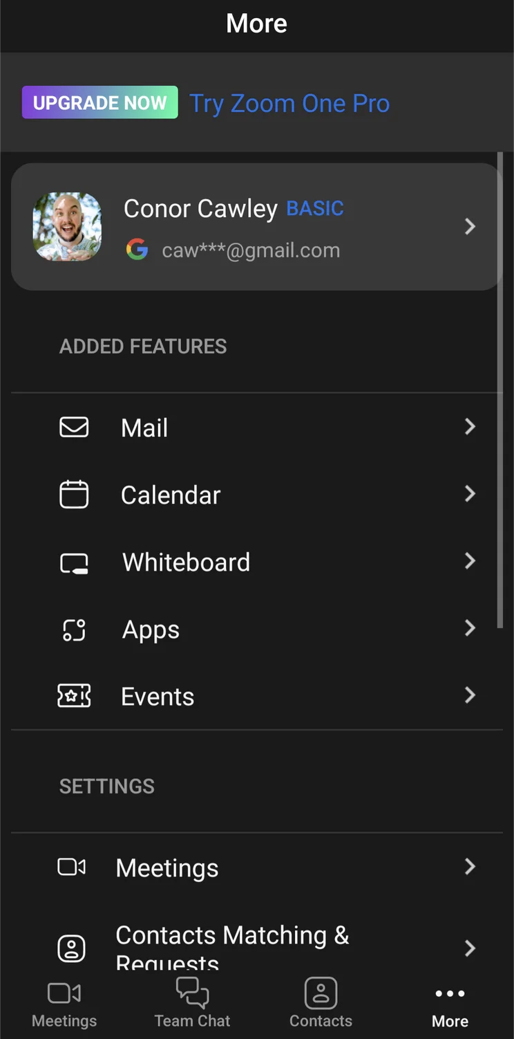 Zoom App More Menu