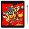 Apple iPad 10.2 inch with ProCreate