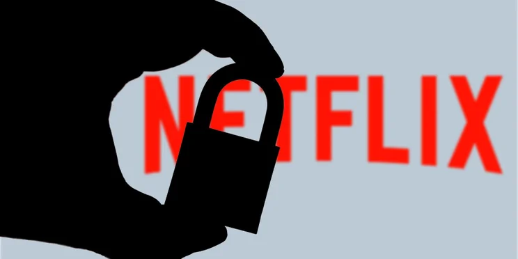 Netflix Password