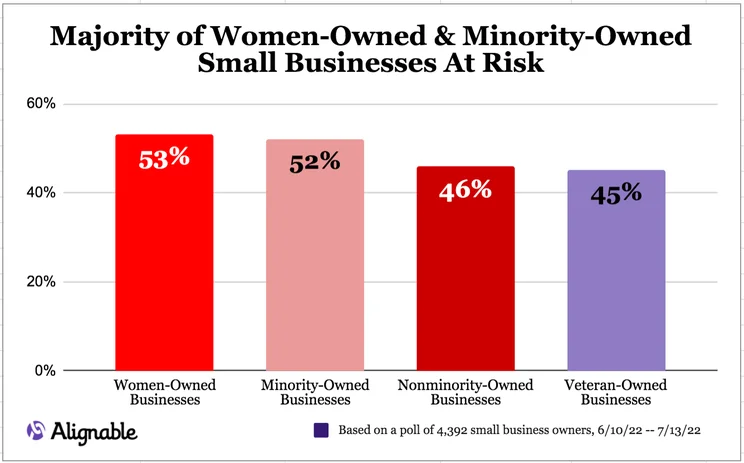 Stats on Women and Minorities and Veternans from Alignable Survey 2022