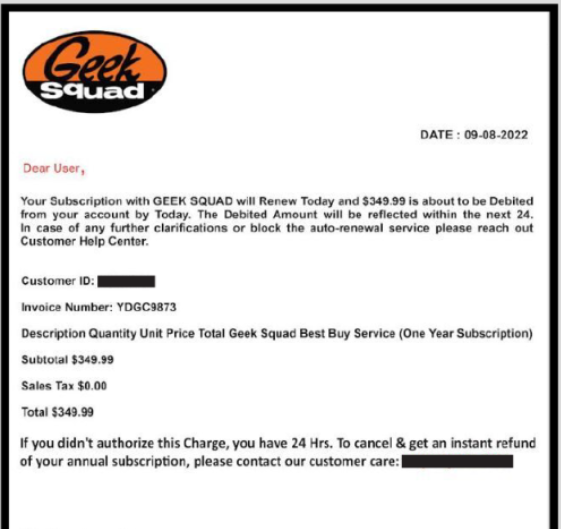 Geek squad scam