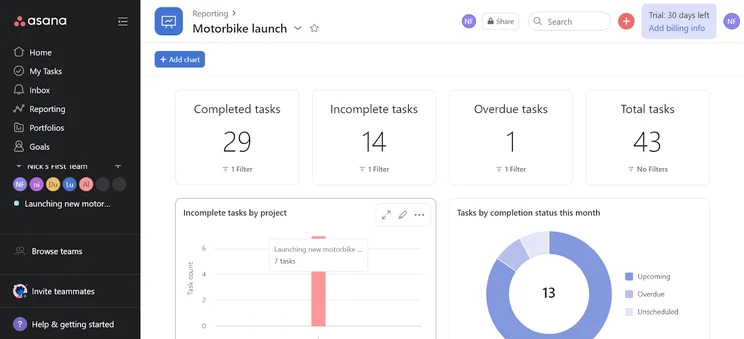 Asana Reporting