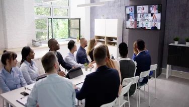 Online video conference call with multiple attendees