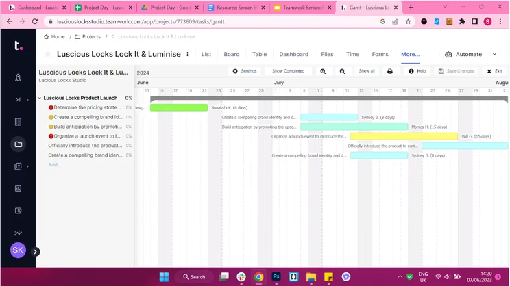 teamwork Gantt chart view