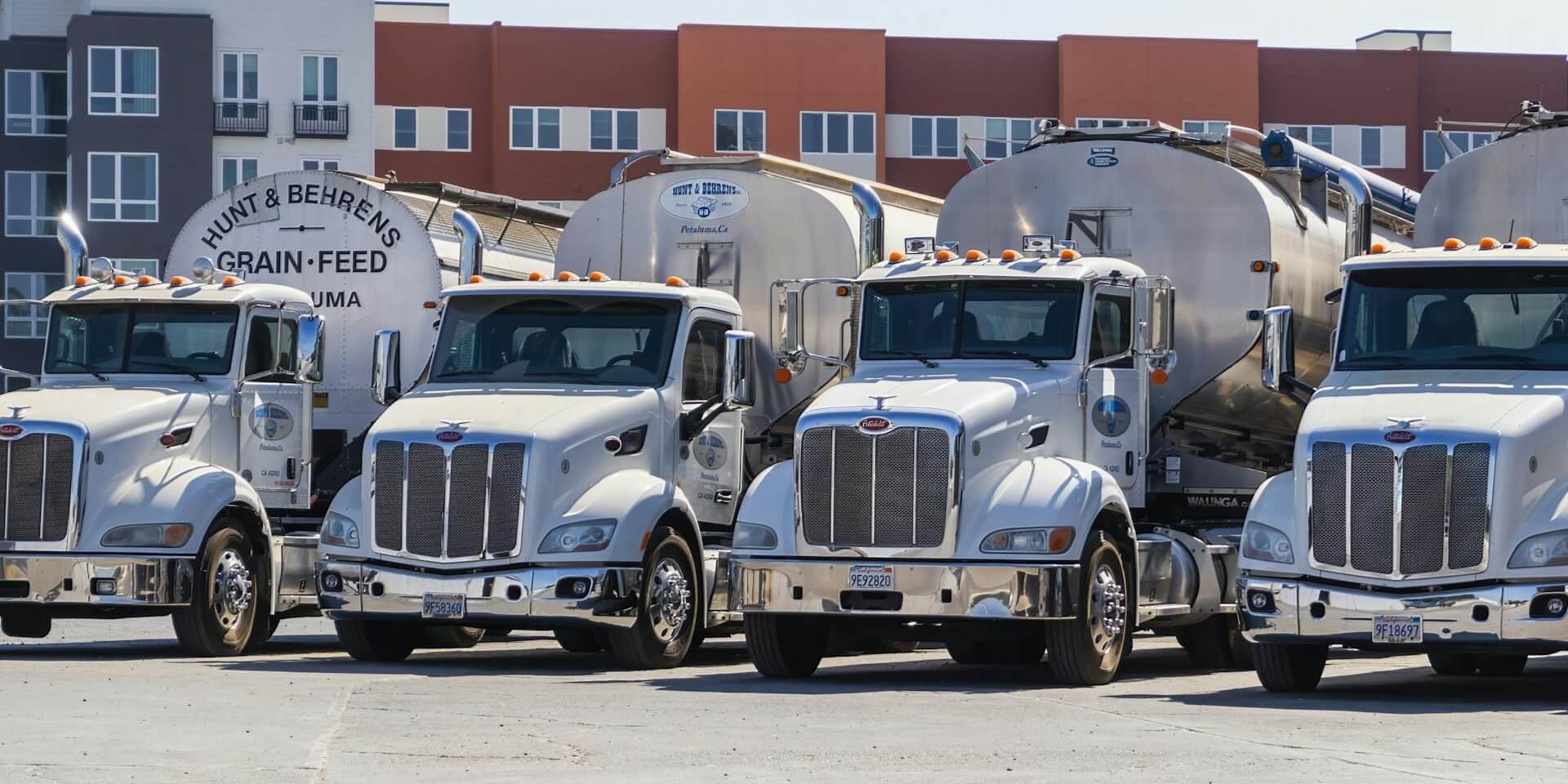A row of trucks