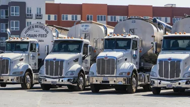 A row of trucks