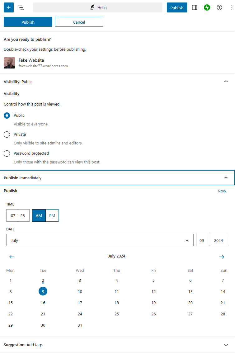 WordPress Publishing Options