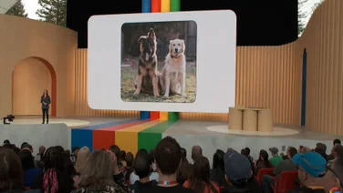 Google bard drops waitlist