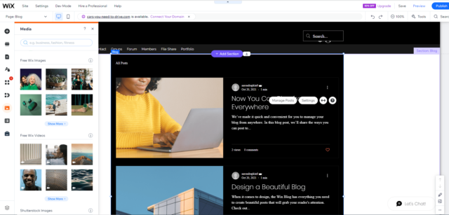 Wix free image choice screen
