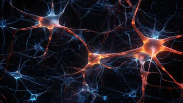 Neural network