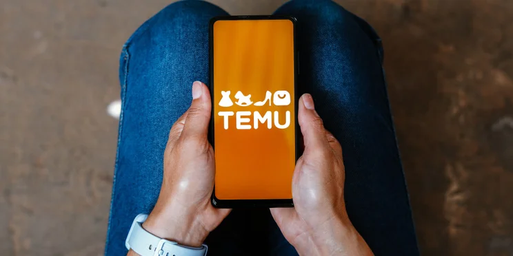 The Temu logo is displayed on a smartphone screen.