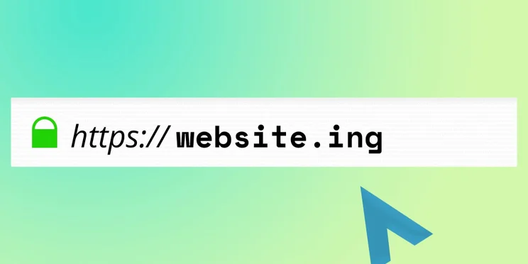 ing Web Domain
