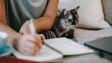A cat with their owner who is writing in a notebook.