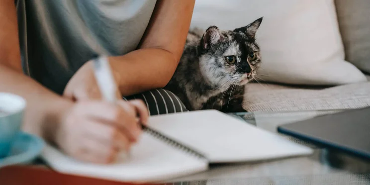 A cat with their owner who is writing in a notebook.