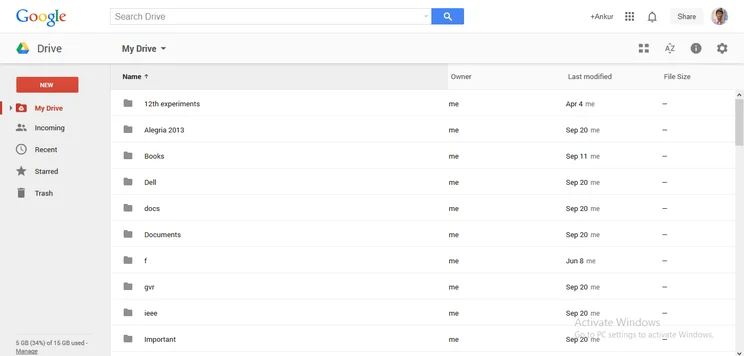 Google Drive Interface