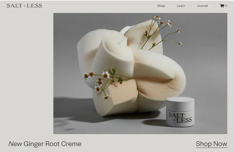 Squarespace SALT + LESS ecommerce template