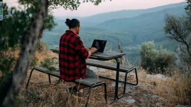 Remote Work Woods