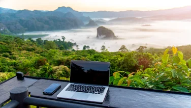 Office with jungle in the background